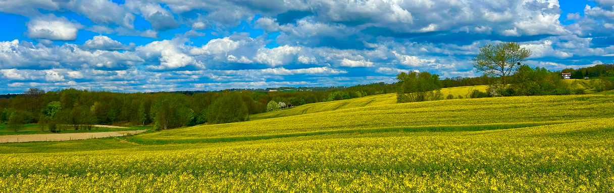 Przestrzeń blisko natury